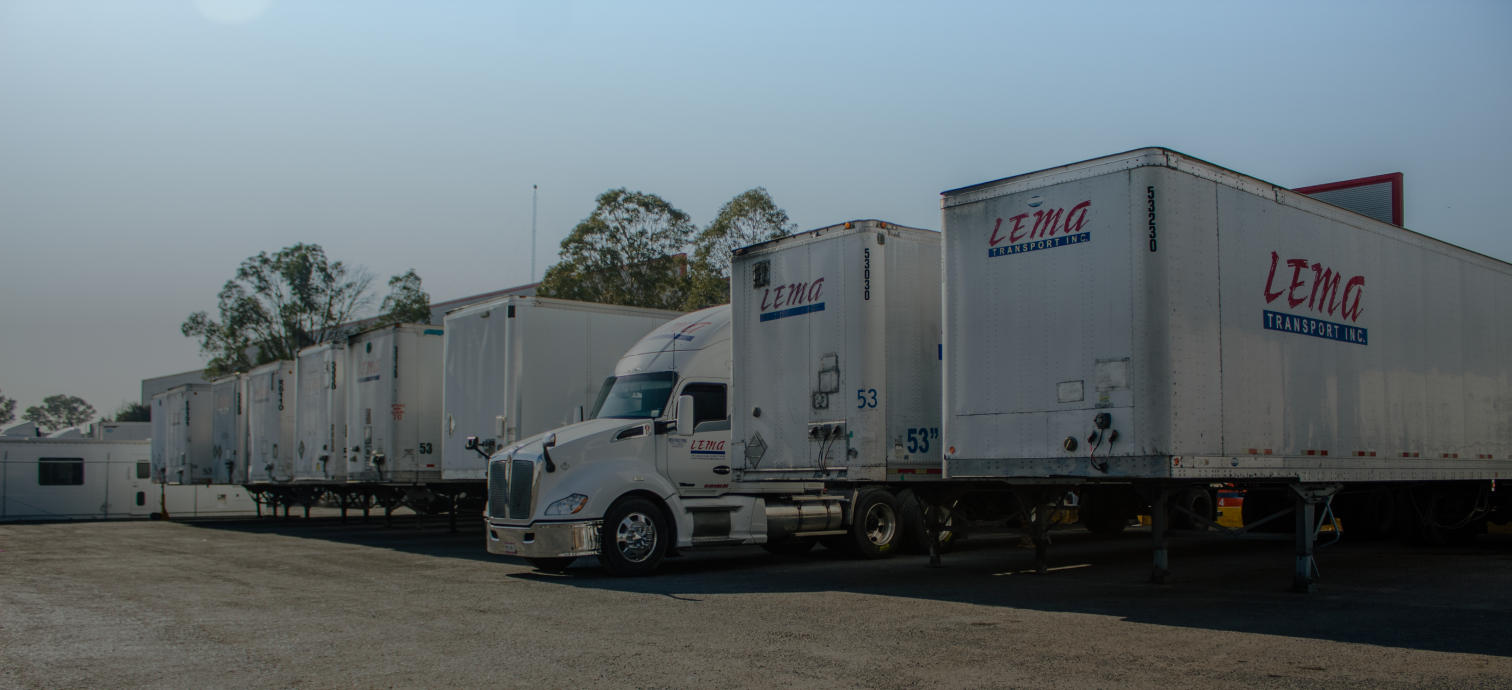 LTMA Transportes Fleet